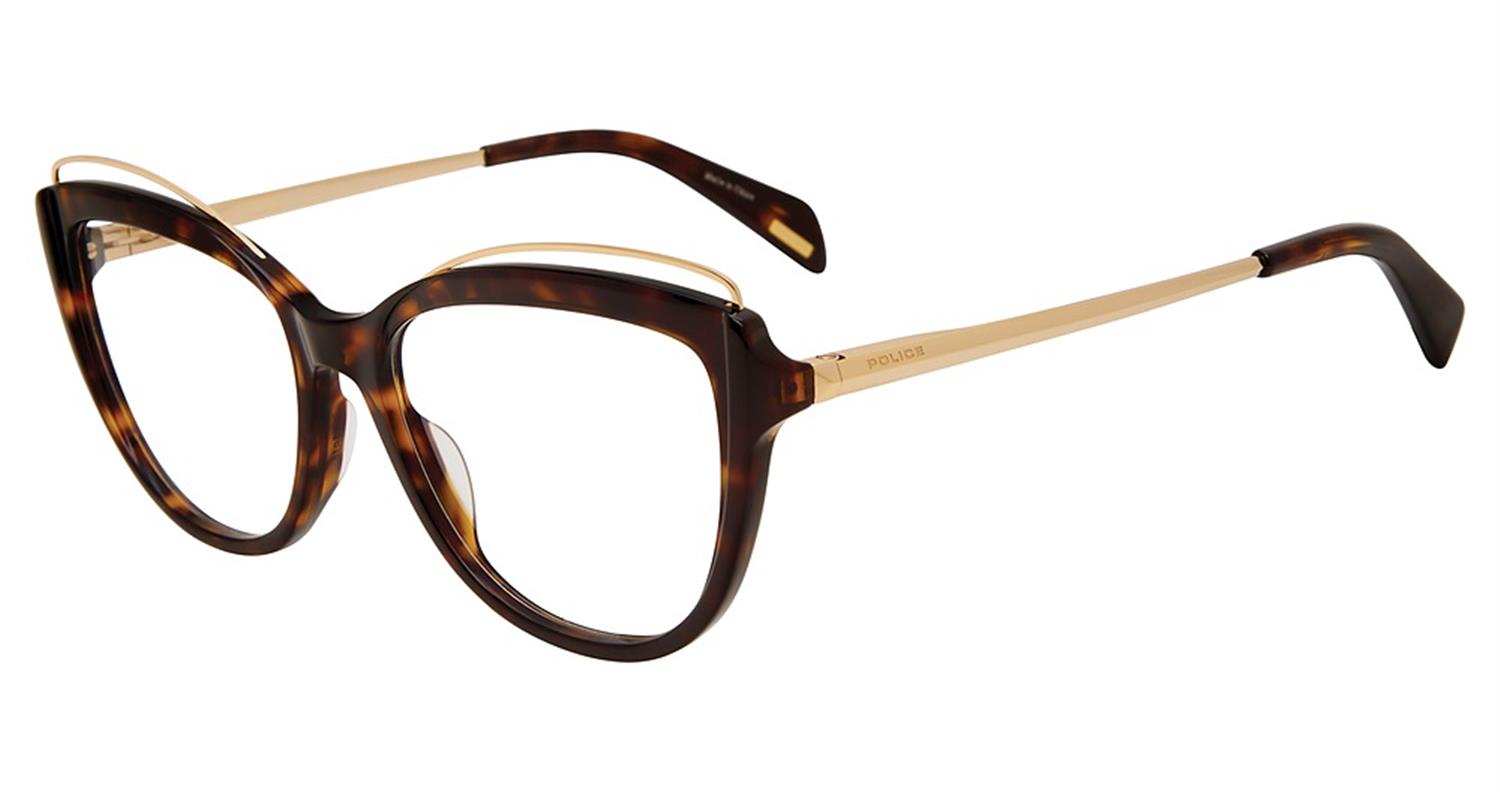 Tortoise 0722