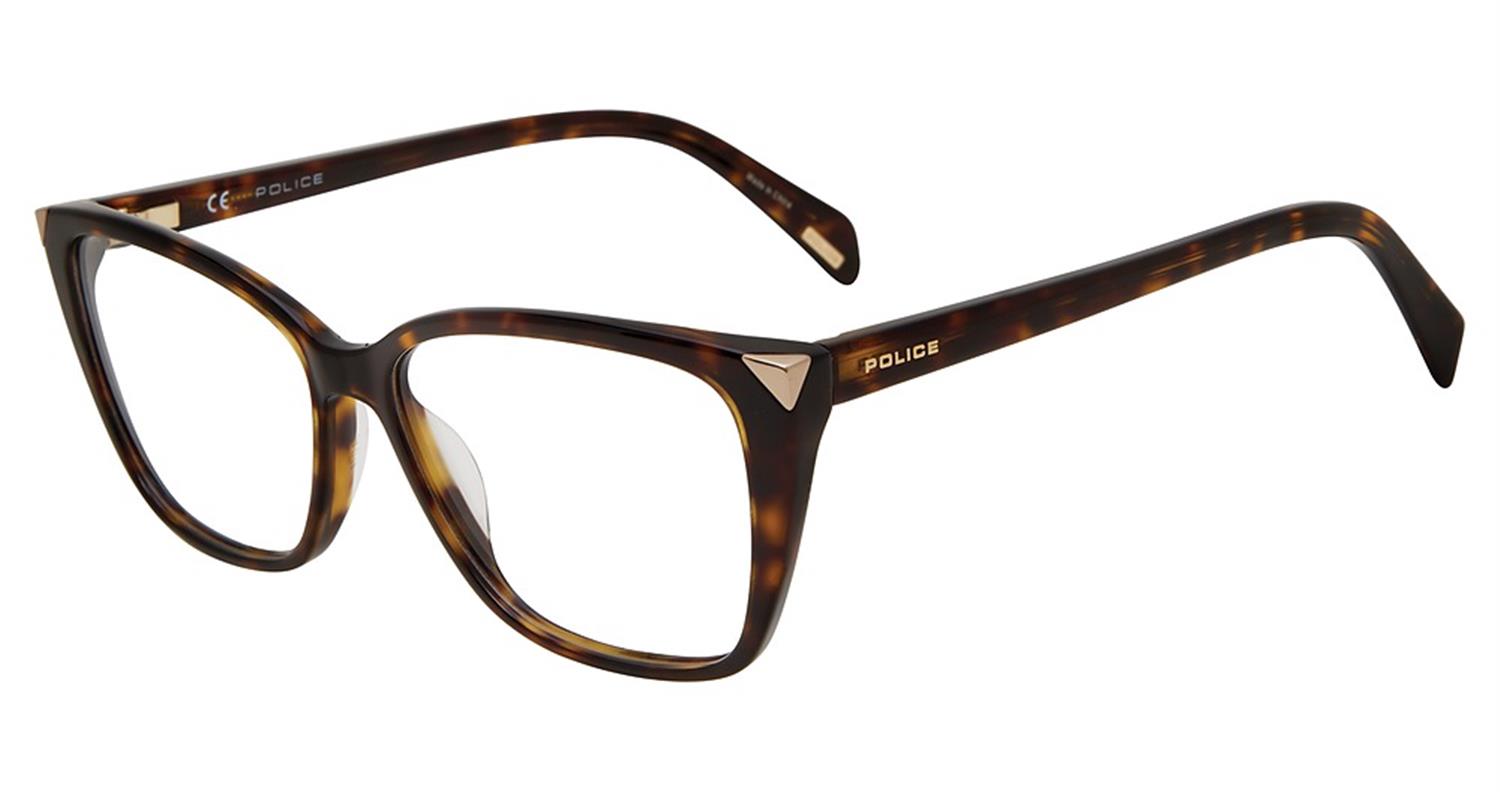 Tortoise 0722