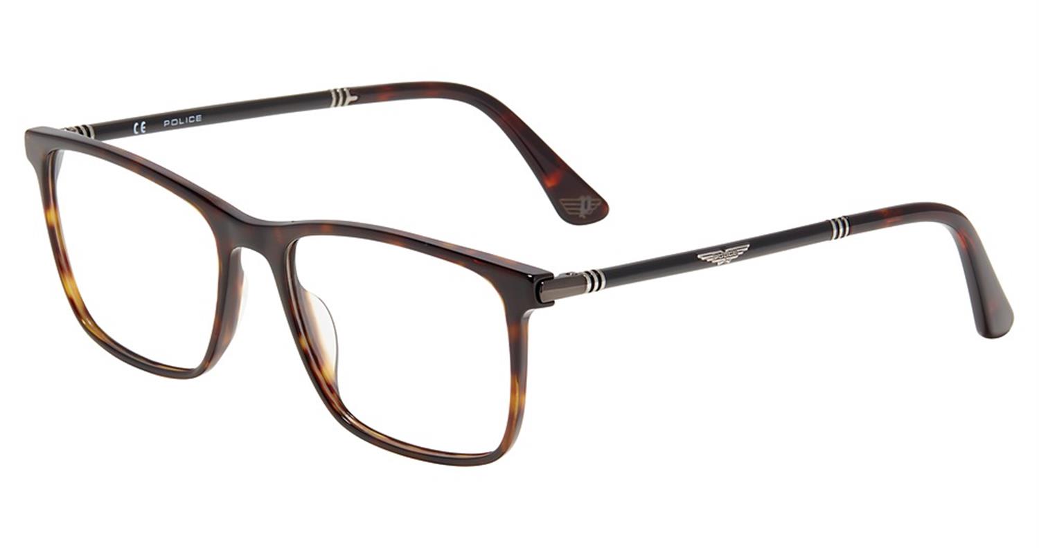 Tortoise 0722