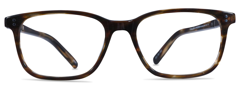 199 Tortoise