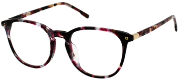 BURGUNDY TORTOISE