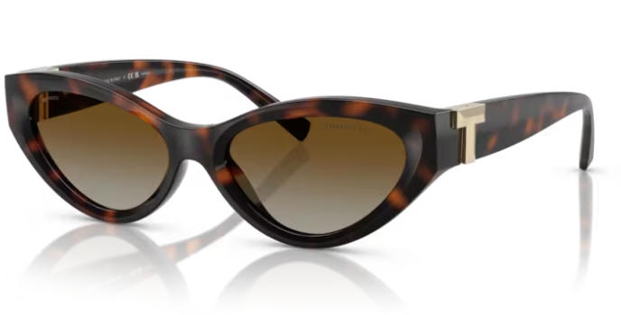 HAVANA / POLAR BROWN GRADIENT