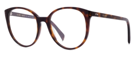 054 TORTOISE