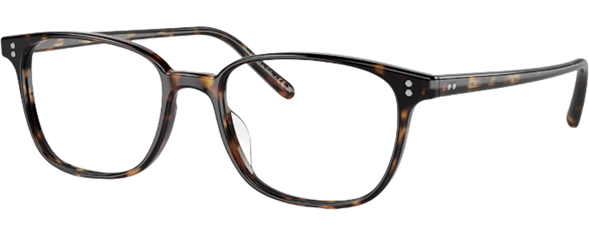 1009 362 TORTOISE