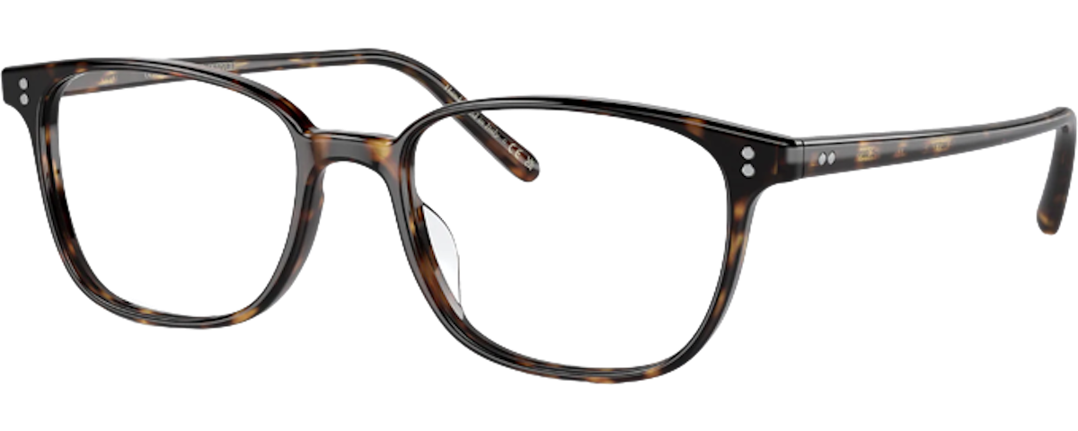 1009 362 TORTOISE