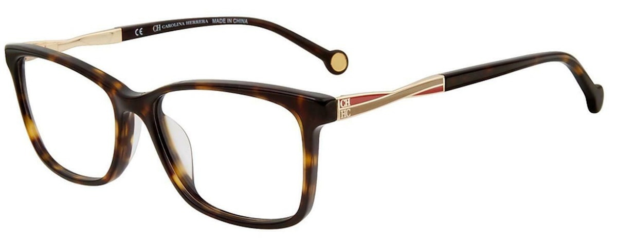 Tortoise 0722