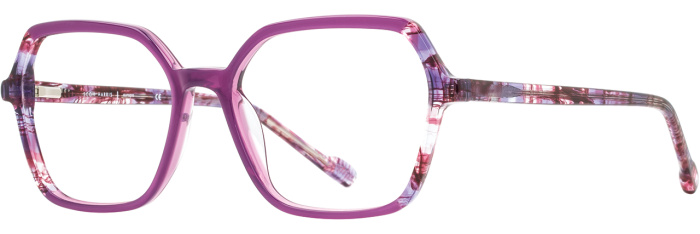 purple tortoise