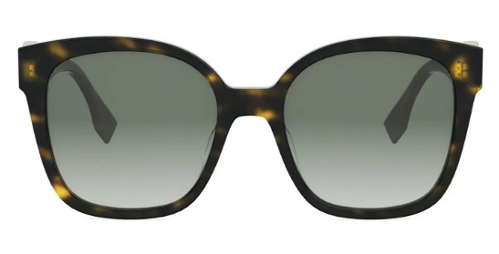FE40186I / tortoise