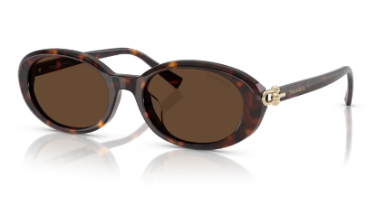TF4242D / OPAL NUDE / BROWN GRADIENT