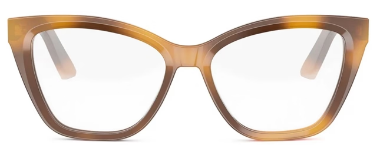 DiorMidnightO B1I / 54053/havana