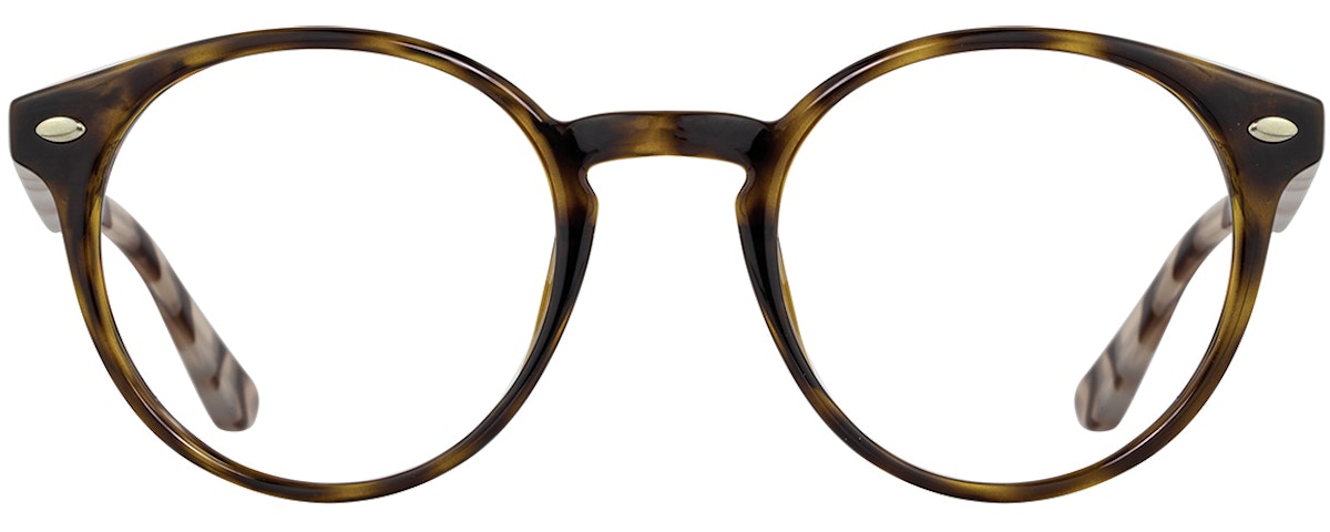 Tortoise / Tokyo Tortoise