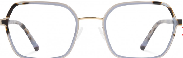 golden - turtle-shell - blue