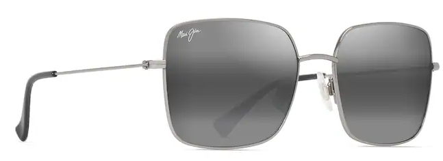 Shiny Silver / Neutral Grey