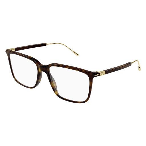 002 Tortoise
