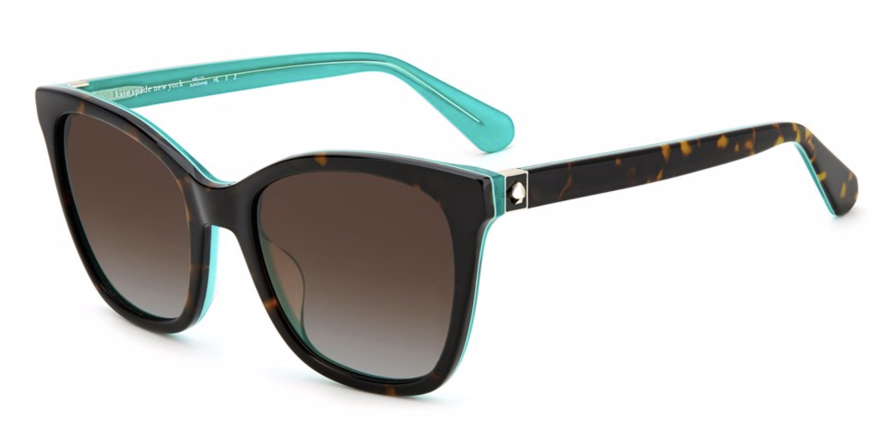 HVN / BROWN SHADED POLARIZED