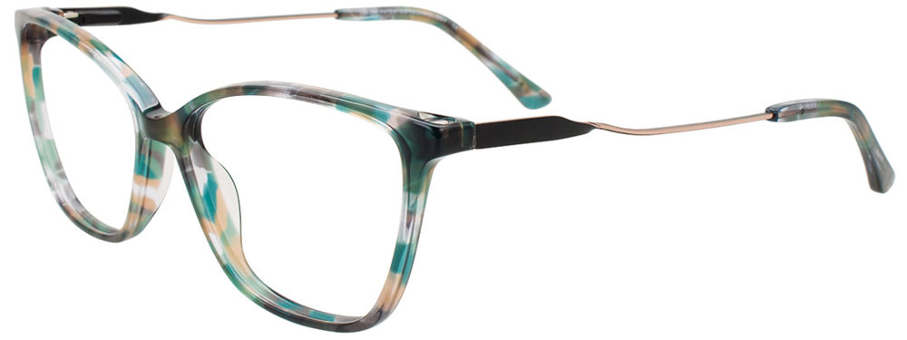 60.TEAL TORTOISE