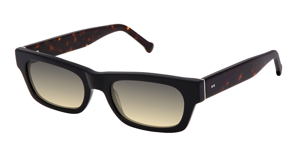 S300. BLACK TORTOISE
