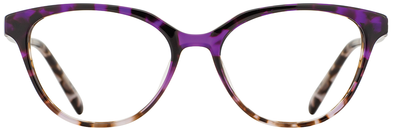 Plum Tortoise