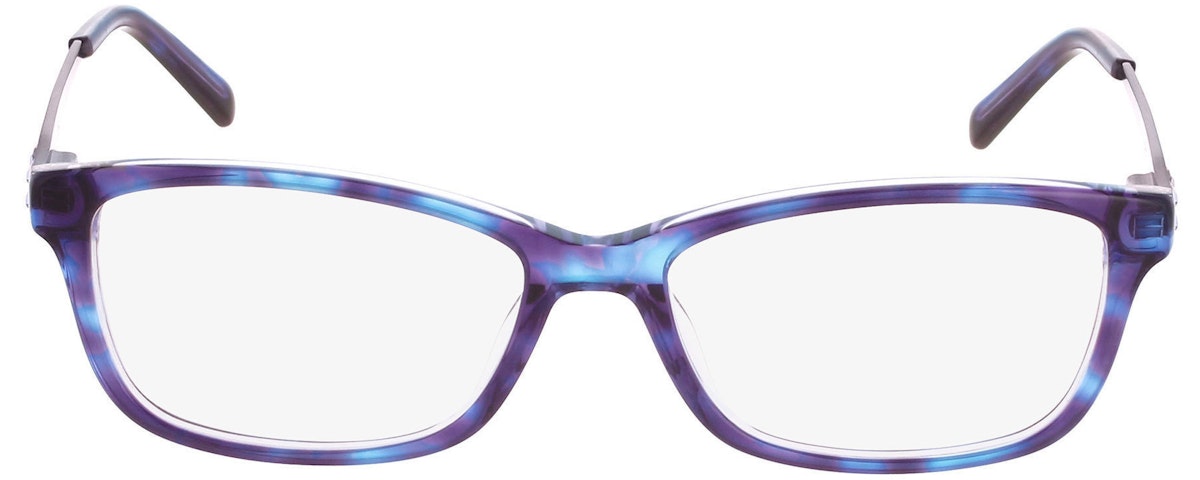 Plum Tortoise