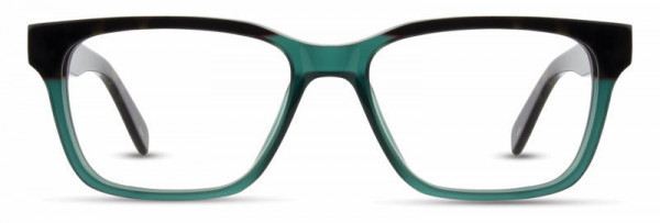 C1 Jade/Tortoise