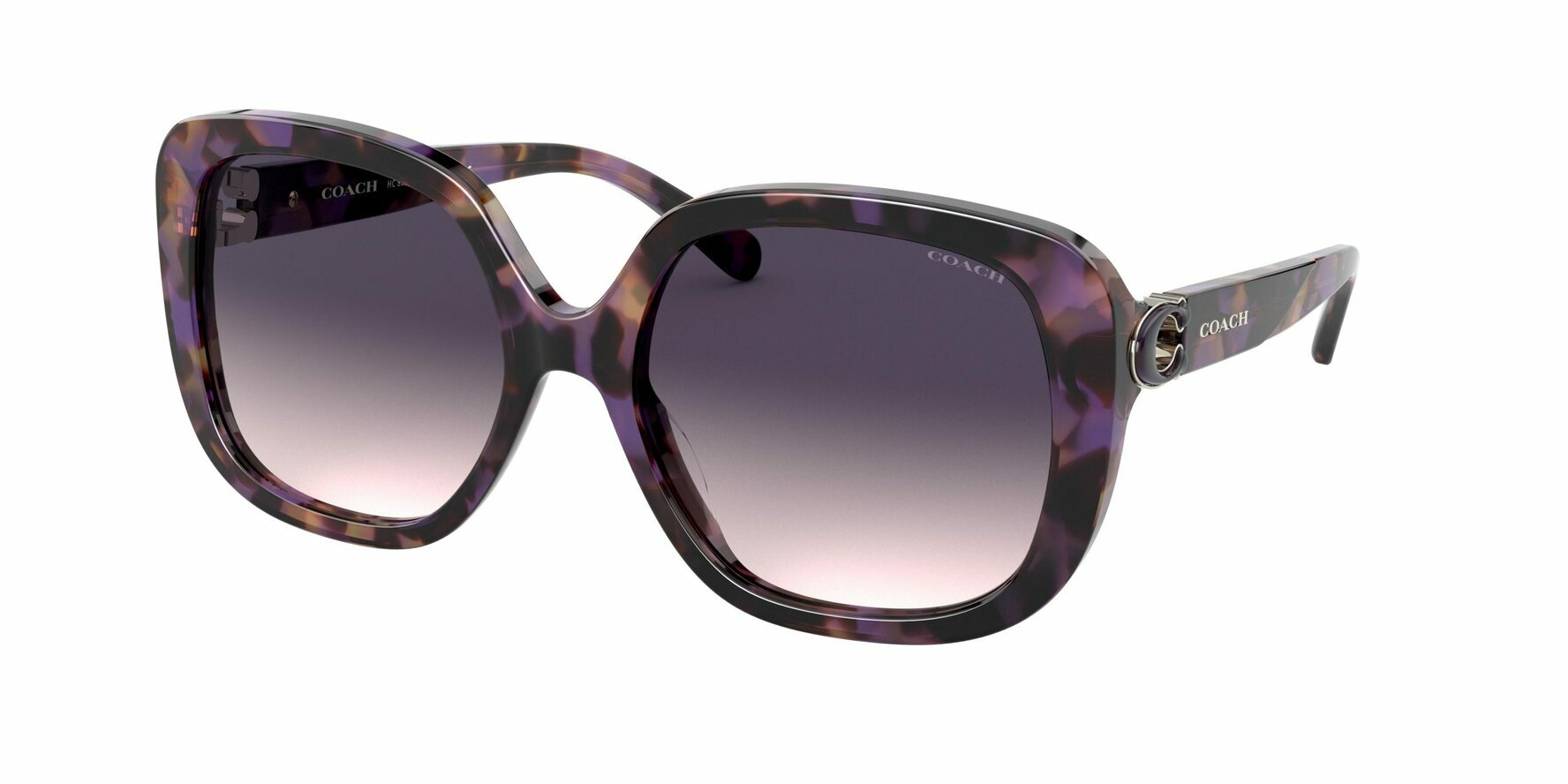 PURPLE TORTOISE