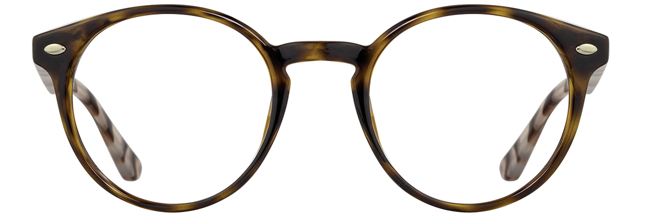 Tortoise / Tokyo Tortoise
