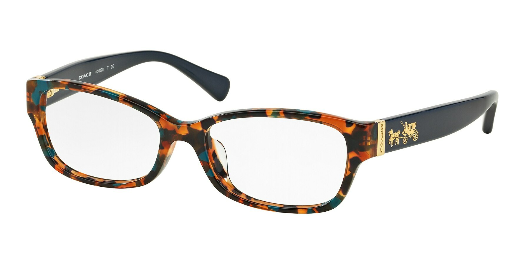 TEAL CONFETTI TORTOISE