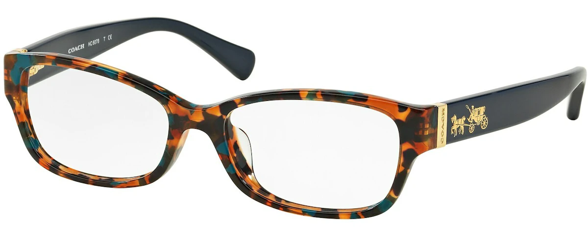 TEAL CONFETTI TORTOISE