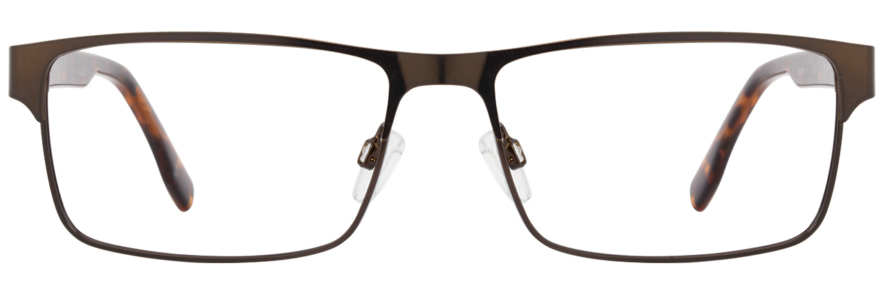 Brown / Tortoise