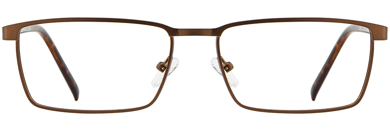 Chocolate / Tortoise