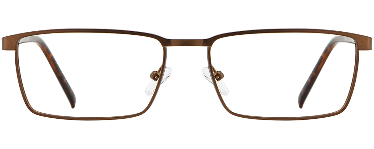 Chocolate / Tortoise
