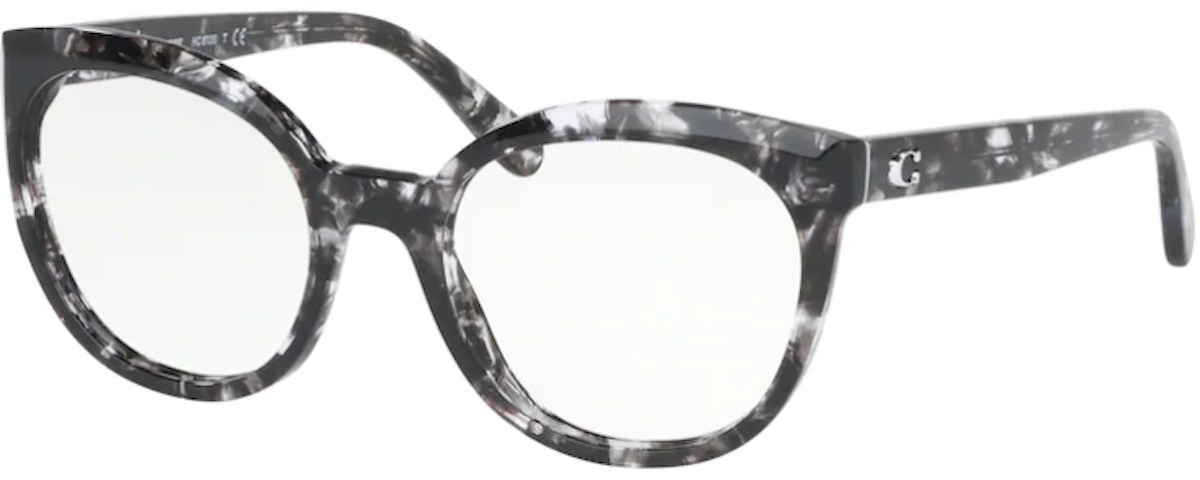 5563 Black Tortoise