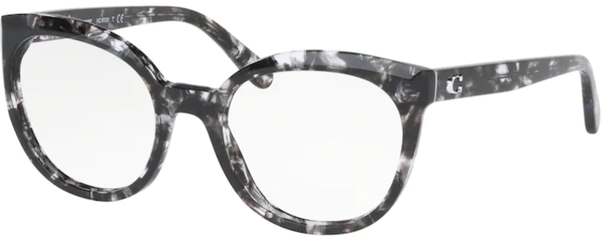 5563 Black Tortoise
