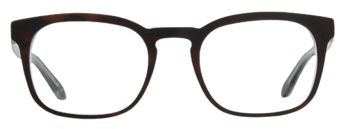 Tortoise Shell