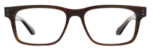 Brown Horn