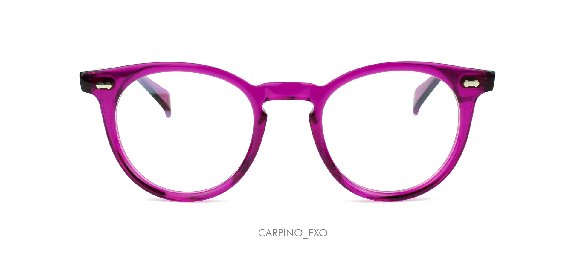 Purple Fuchsia