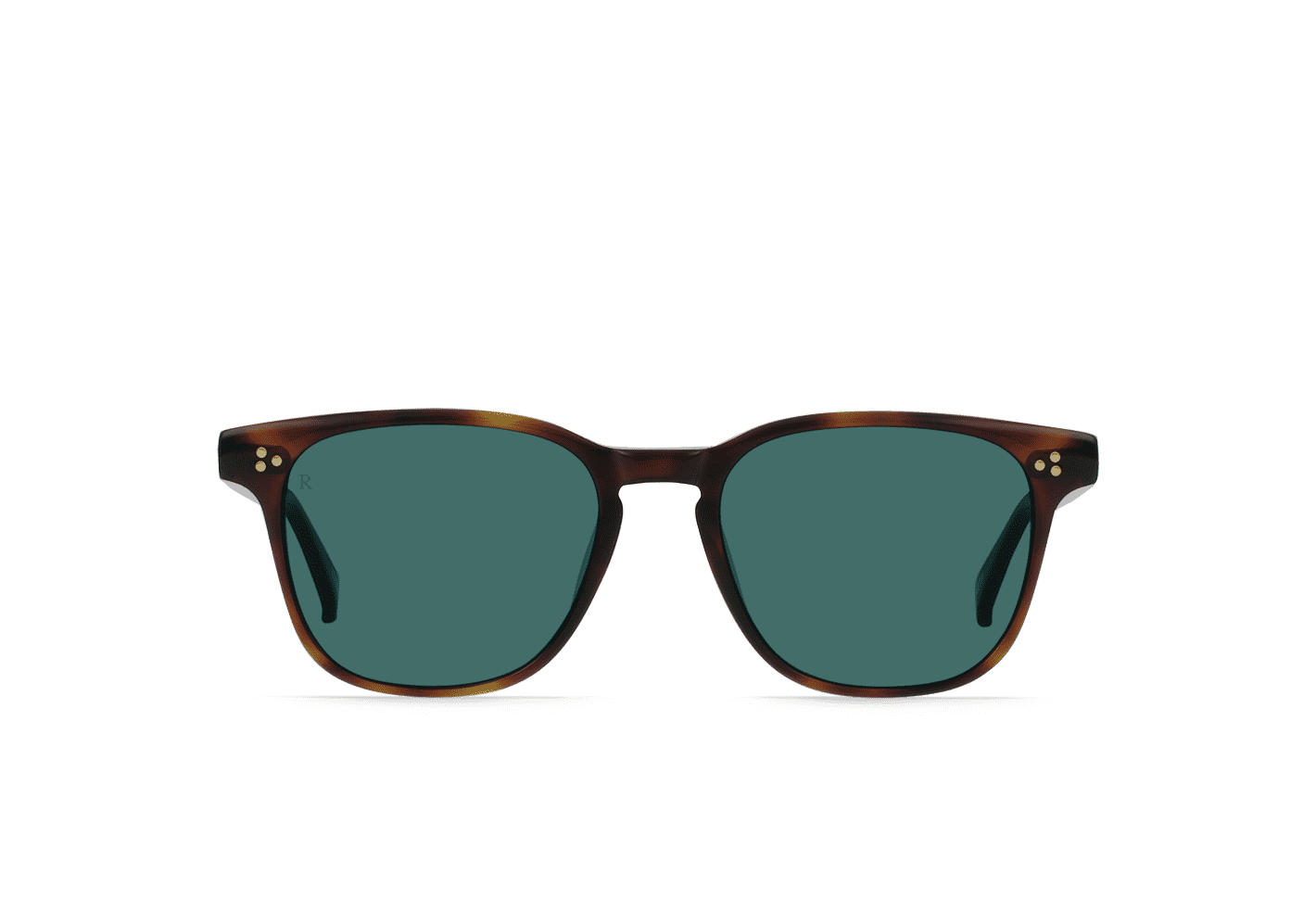 Kola Tortoise