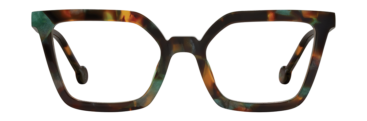 Maui Tortoise (212)