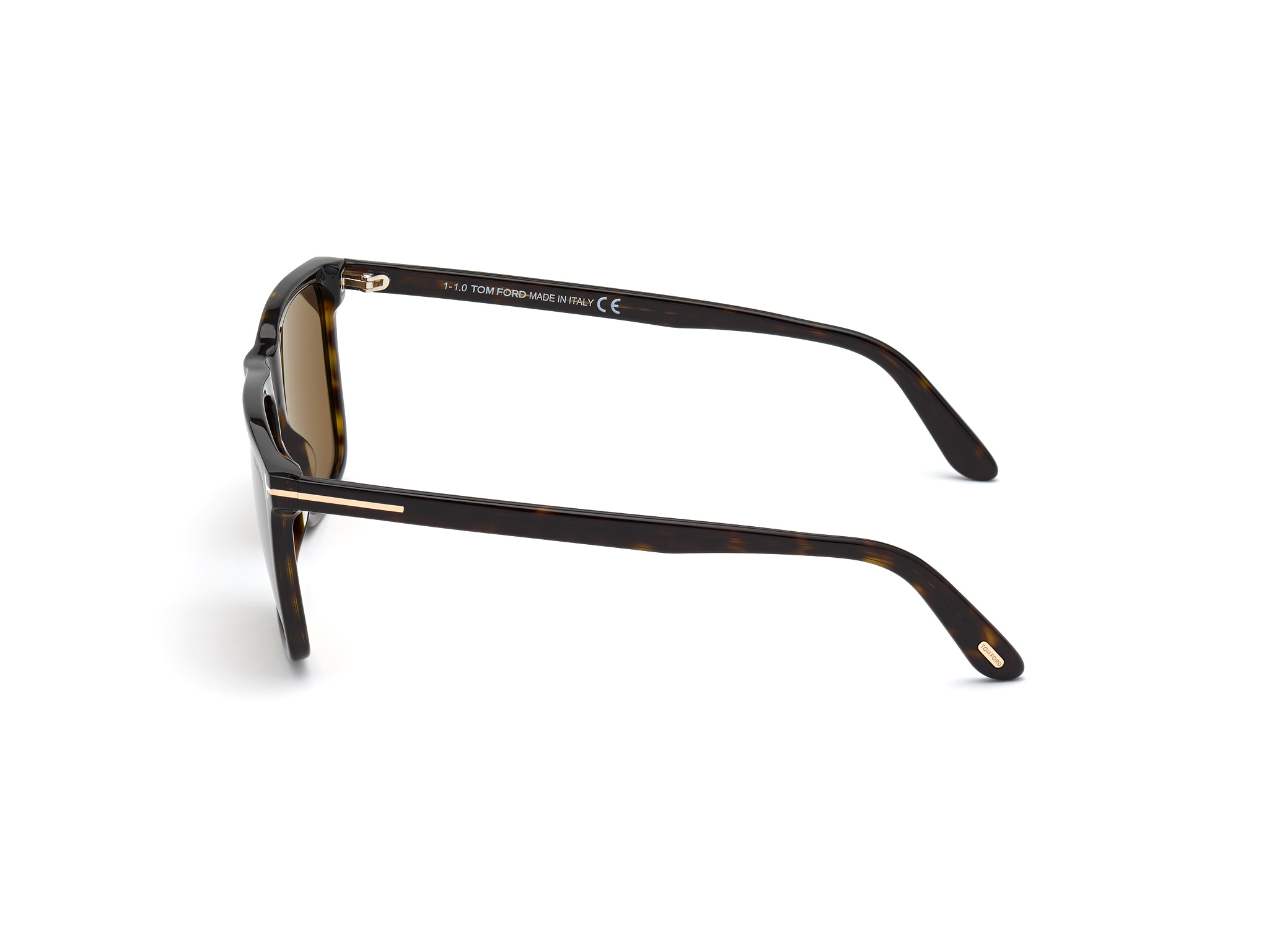 FT0832 / dark havana / brown polarized
