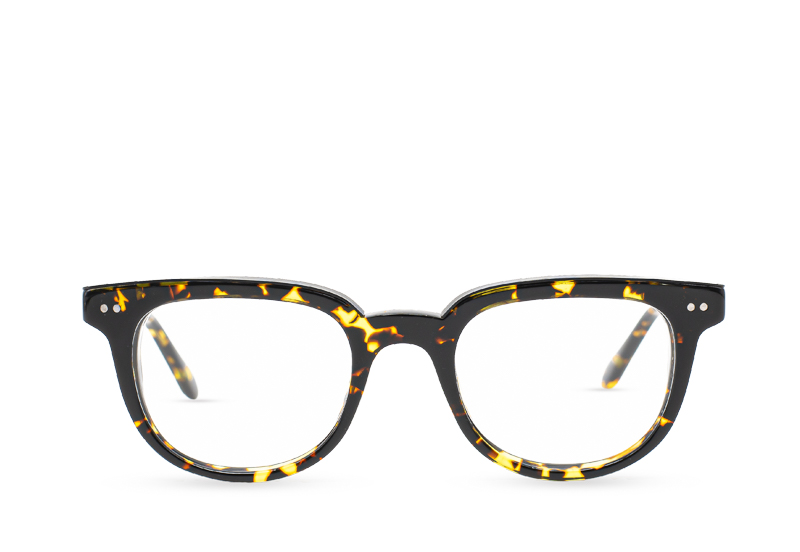 YELLOW TORTOISE