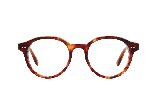 RED TORTOISE