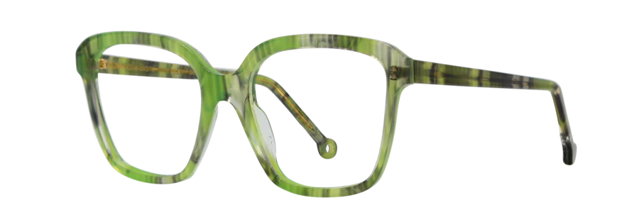 GREEN TORTOISE