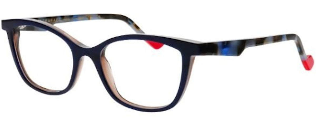 5541 Blue/Tortoise
