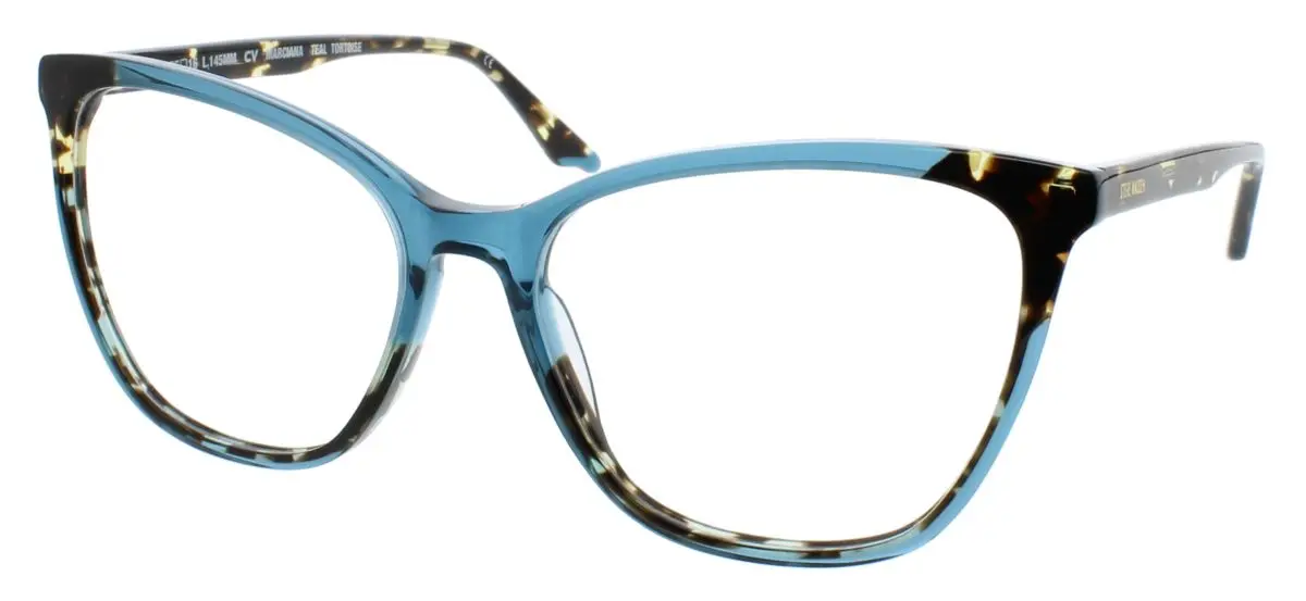TEAL TORTOISE