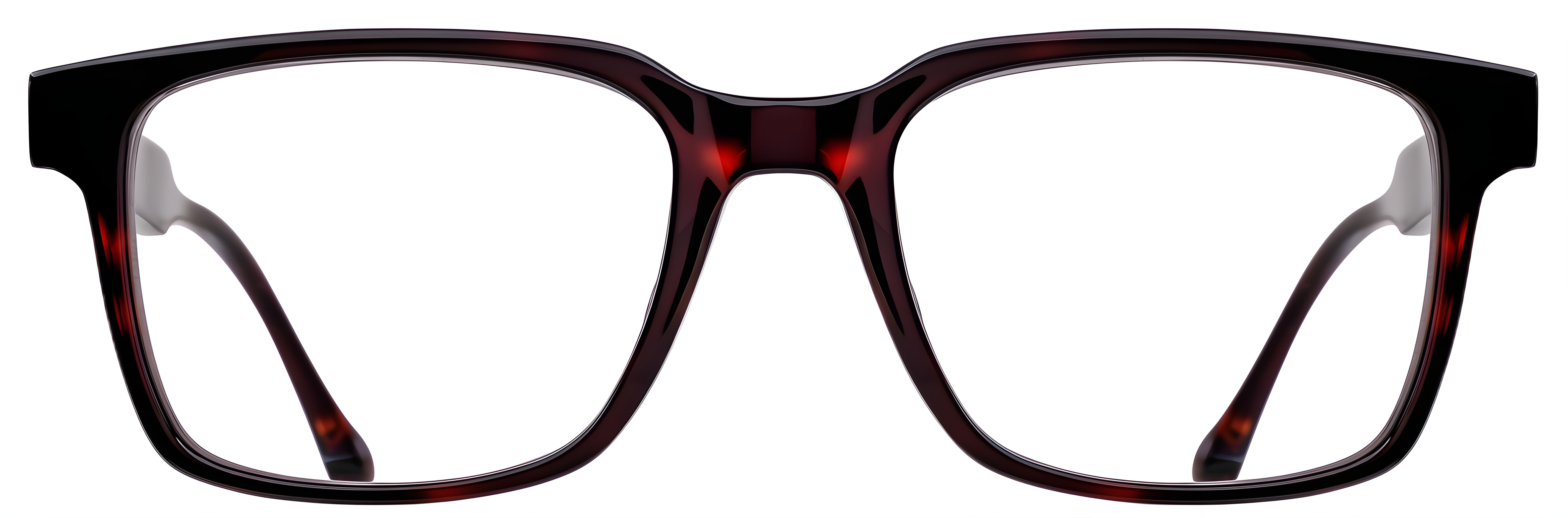 DTO Dark Tortoise