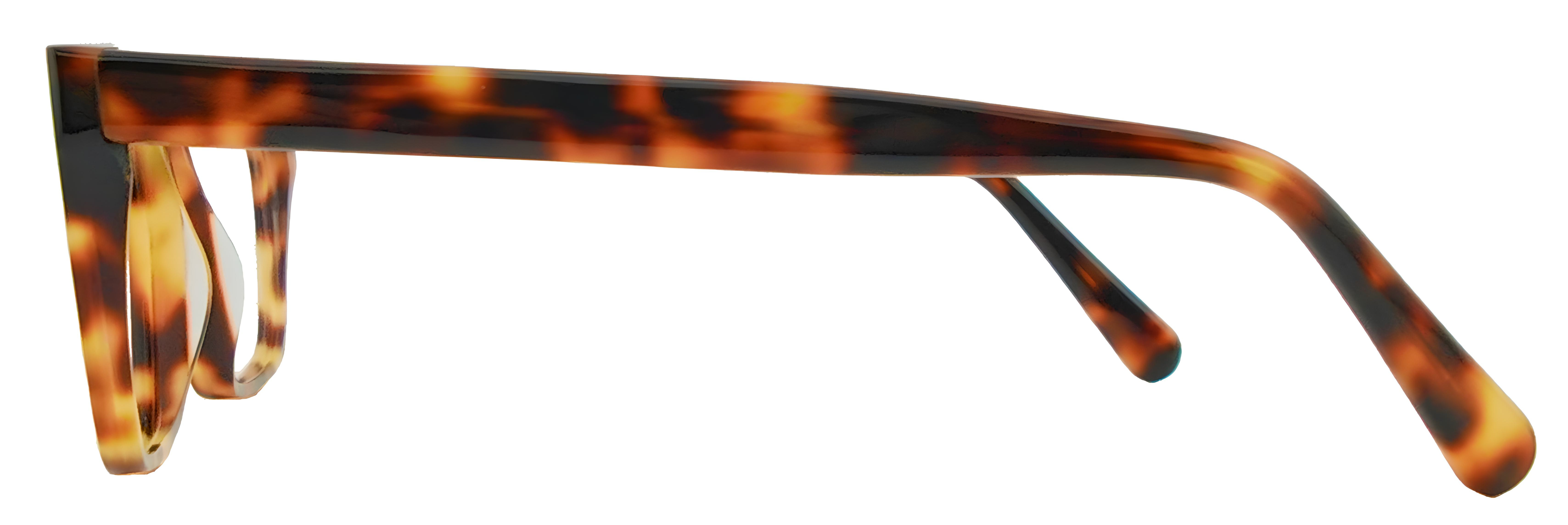 Glendale / SH Tortoise