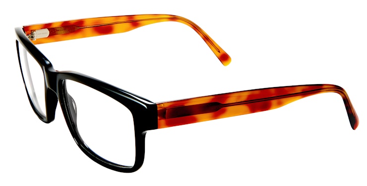 TD606 / 1666 - Shiny Black/Tokyo Tortoise