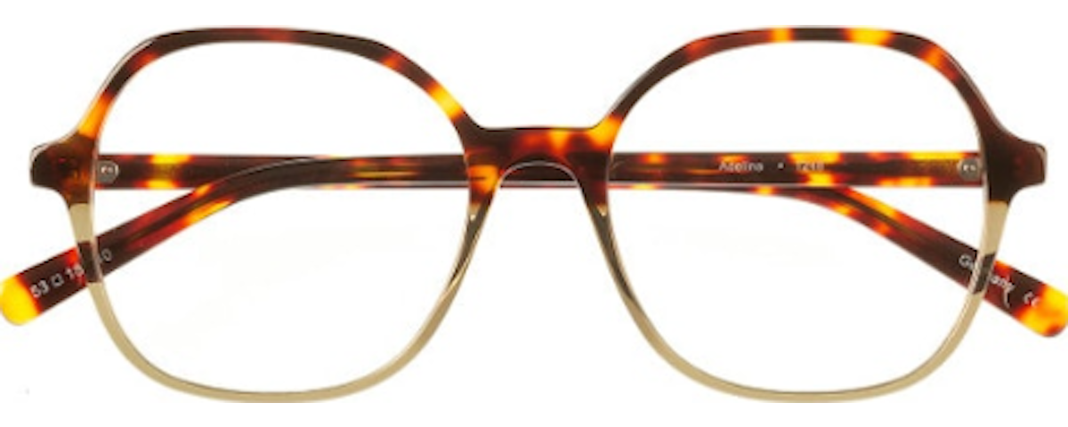 1248 Tortoise Gradient