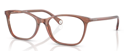 BROWN TRANSPARENT