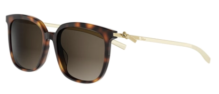 Shiny Havana with Brown Gradient lenses